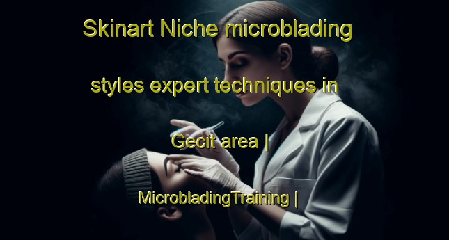 Skinart Niche microblading styles expert techniques in Gecit area | MicrobladingTraining | MicrobladingClasses | SkinartTraining-Turkey